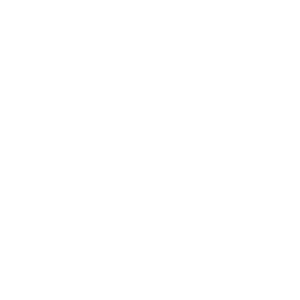 Transparency, Explainability, Safety & Security